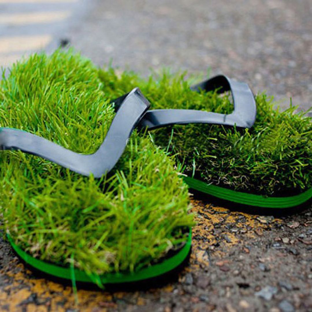 Травотапки