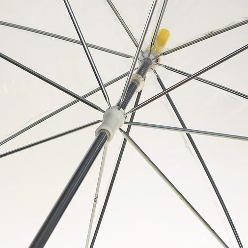 Зонт Прозрачный Зонт Прозрачный