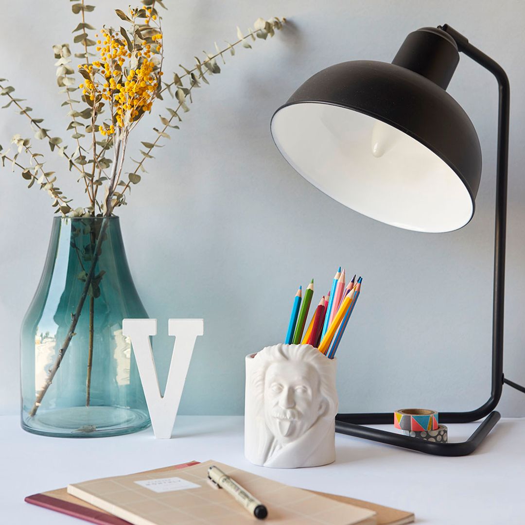 Настольный органайзер Эйнштейн Albert Einstein Настольный органайзер Эйнштейн Albert Einstein