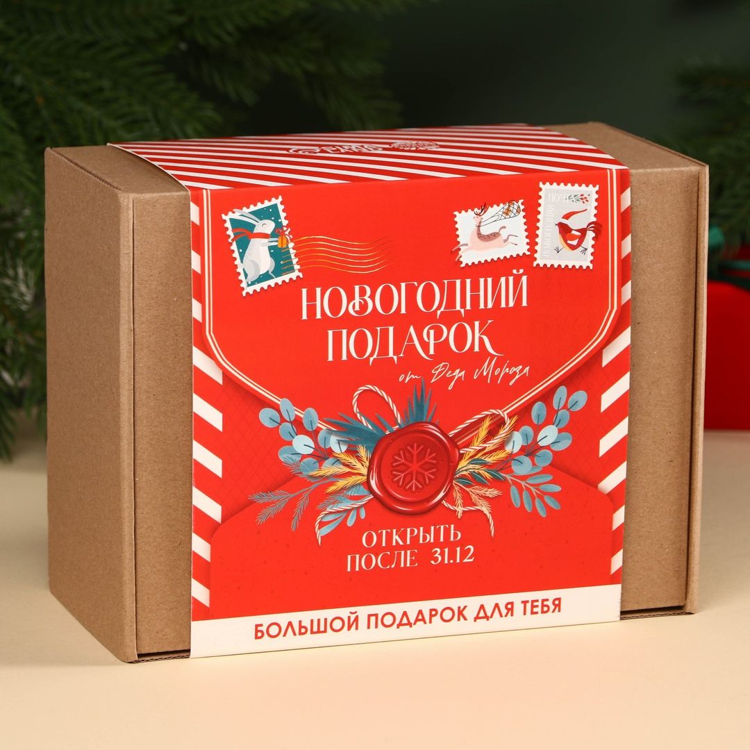 Подарочный набор Новогодний подарок Подарочный набор Новогодний подарок