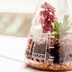 Настольный террариум для растений Chemistry Terrarium Kit
