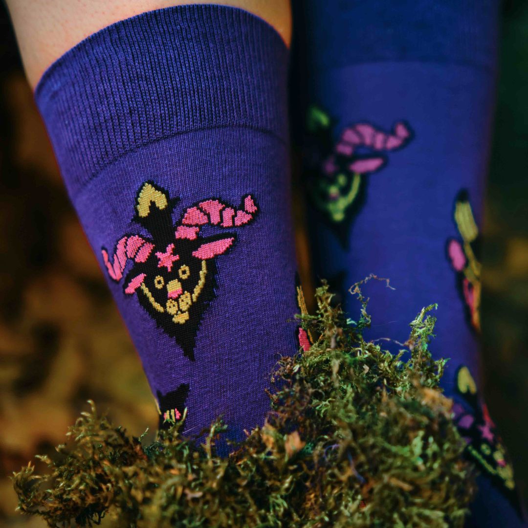 Носки Фамильяры