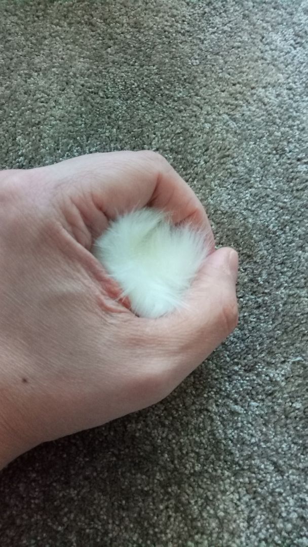 Фото покупателя Антон Фото покупателя Антон