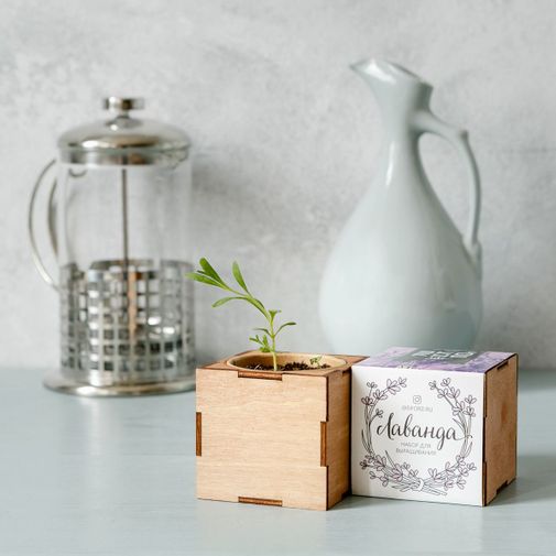 Набор для выращивания Лаванда