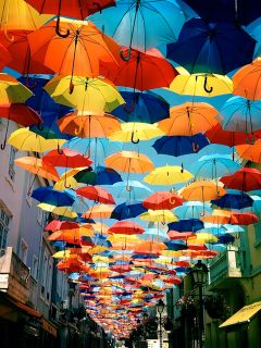 Необычная история зонтов