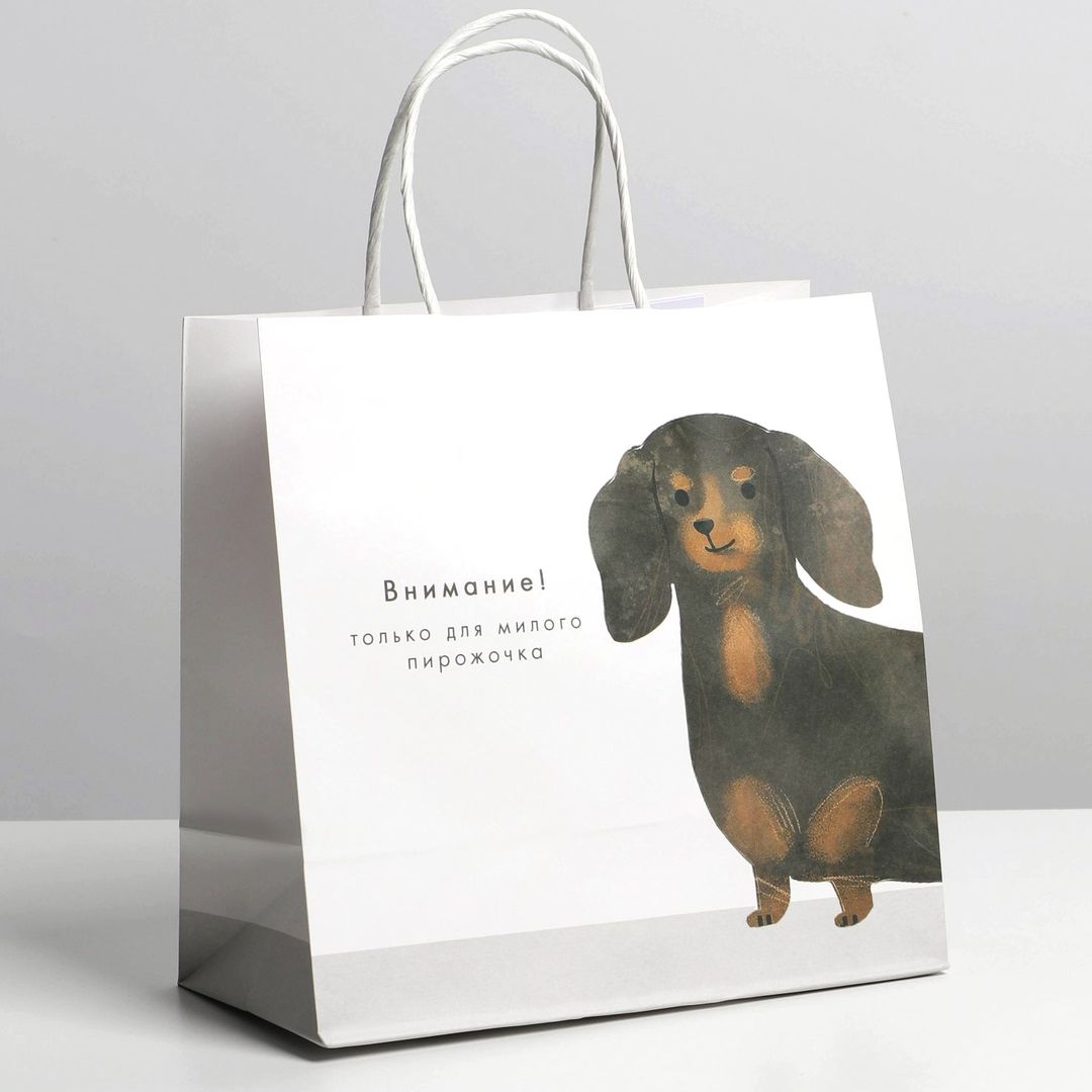 Подарочный пакет Пирожочек (22 х 22 х 11 см) Подарочный пакет Пирожочек (22 х 22 х 11 см)