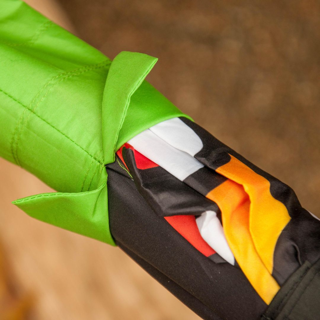 Бабочка выбирается из кокона. Вторая стадия Бабочка выбирается из кокона. Вторая стадия