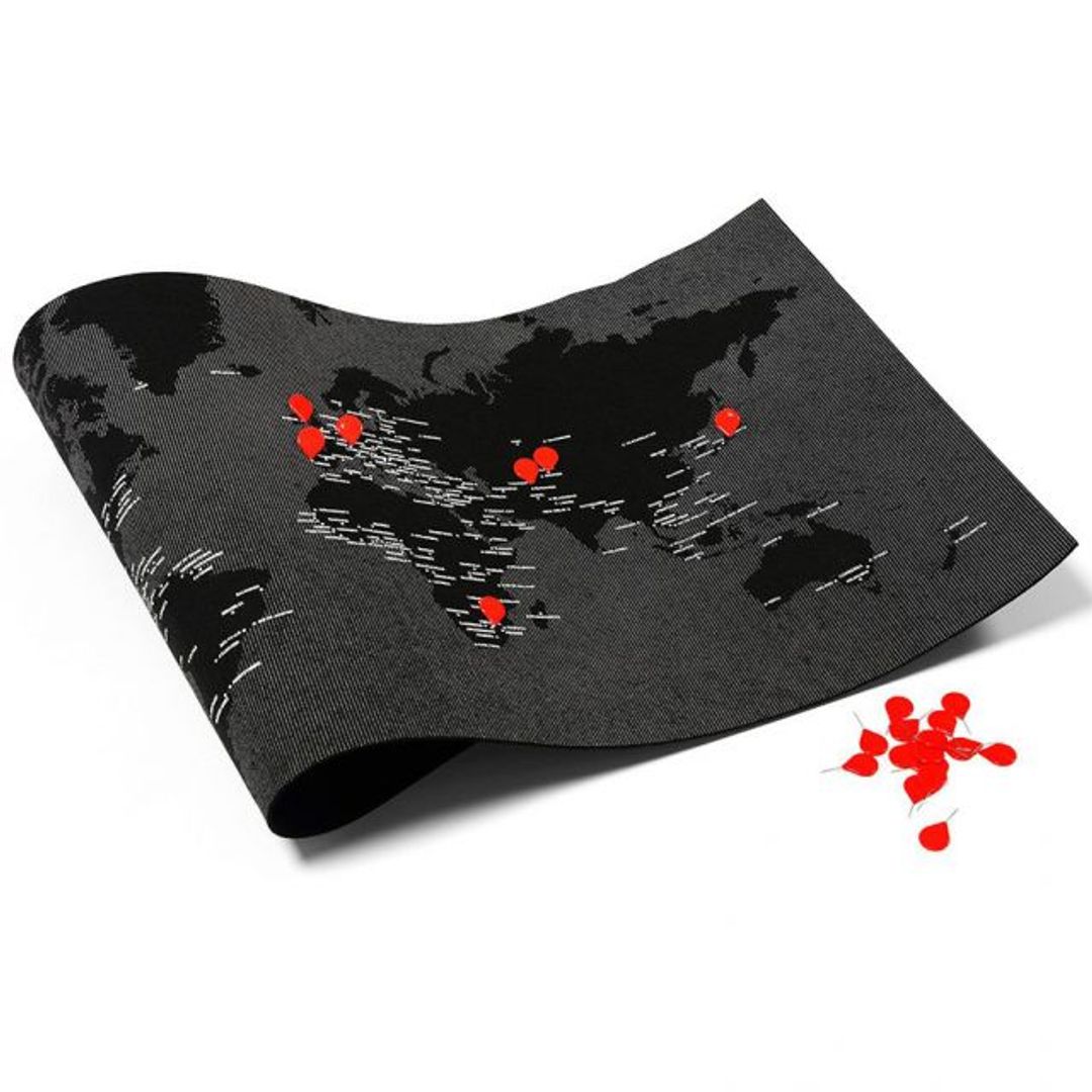 Карта мира Palomar Pin World