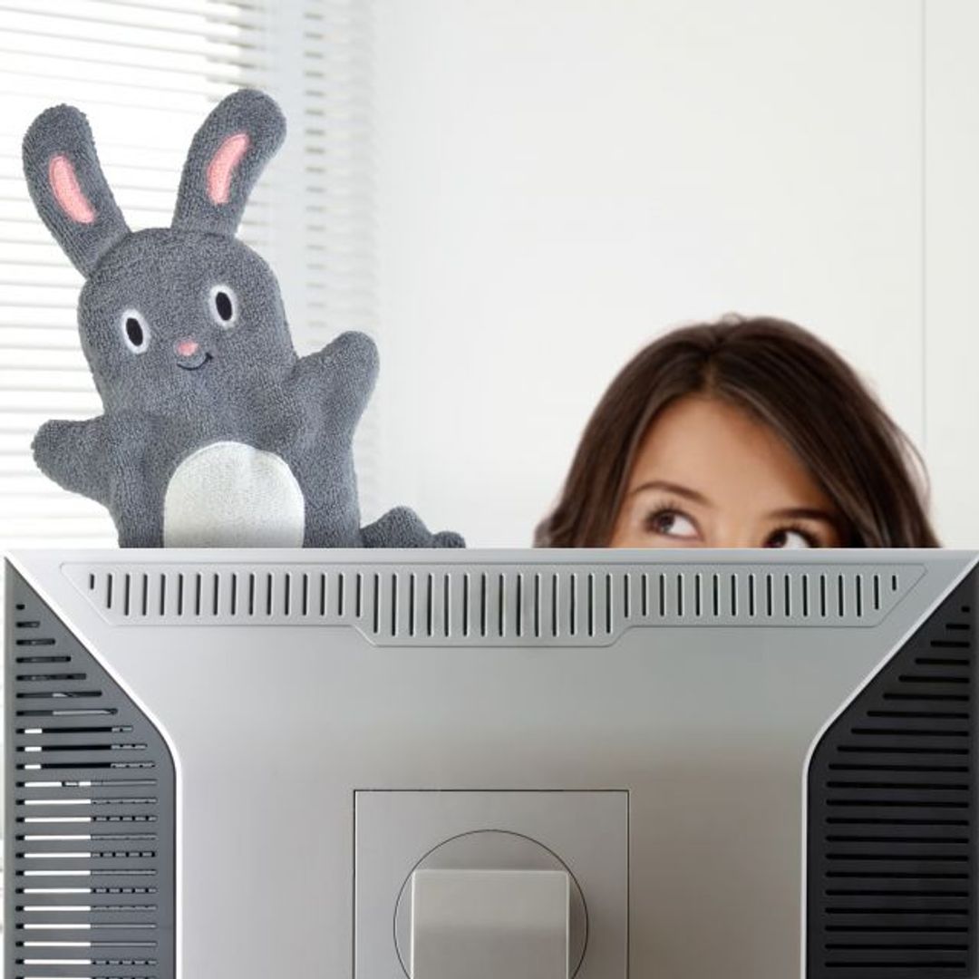 Тряпочка для протирки пыли Зайчик Dust Bunny Тряпочка для протирки пыли Зайчик Dust Bunny