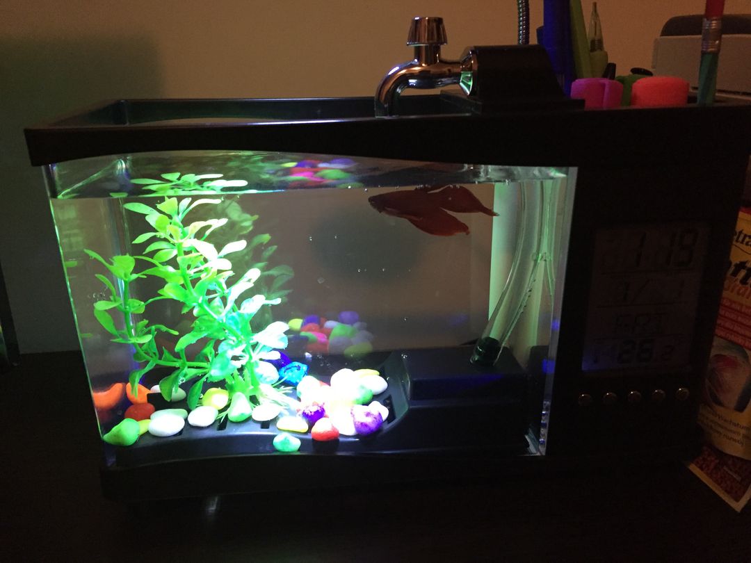 USB Аквариум Органайзер купить по цене от 3 990 руб. в интернет ...