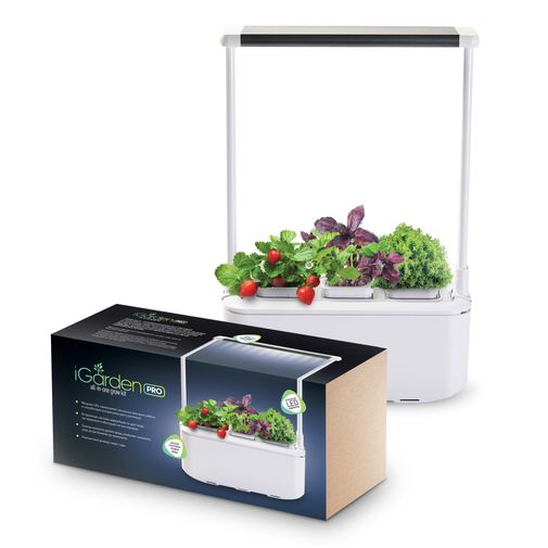 Умный сад для выращивания растений iGarden PRO с подсветкой
