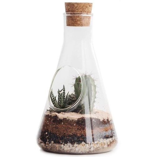 Настольный террариум для растений Chemistry Terrarium Kit
