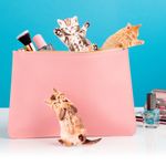 Пилочка для ногтей Котенок Perfect Nails Cat