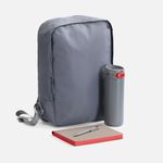 Подарочный набор Flexpen Travel (серый с красным) Подарочный набор Flexpen Travel (серый с красным)