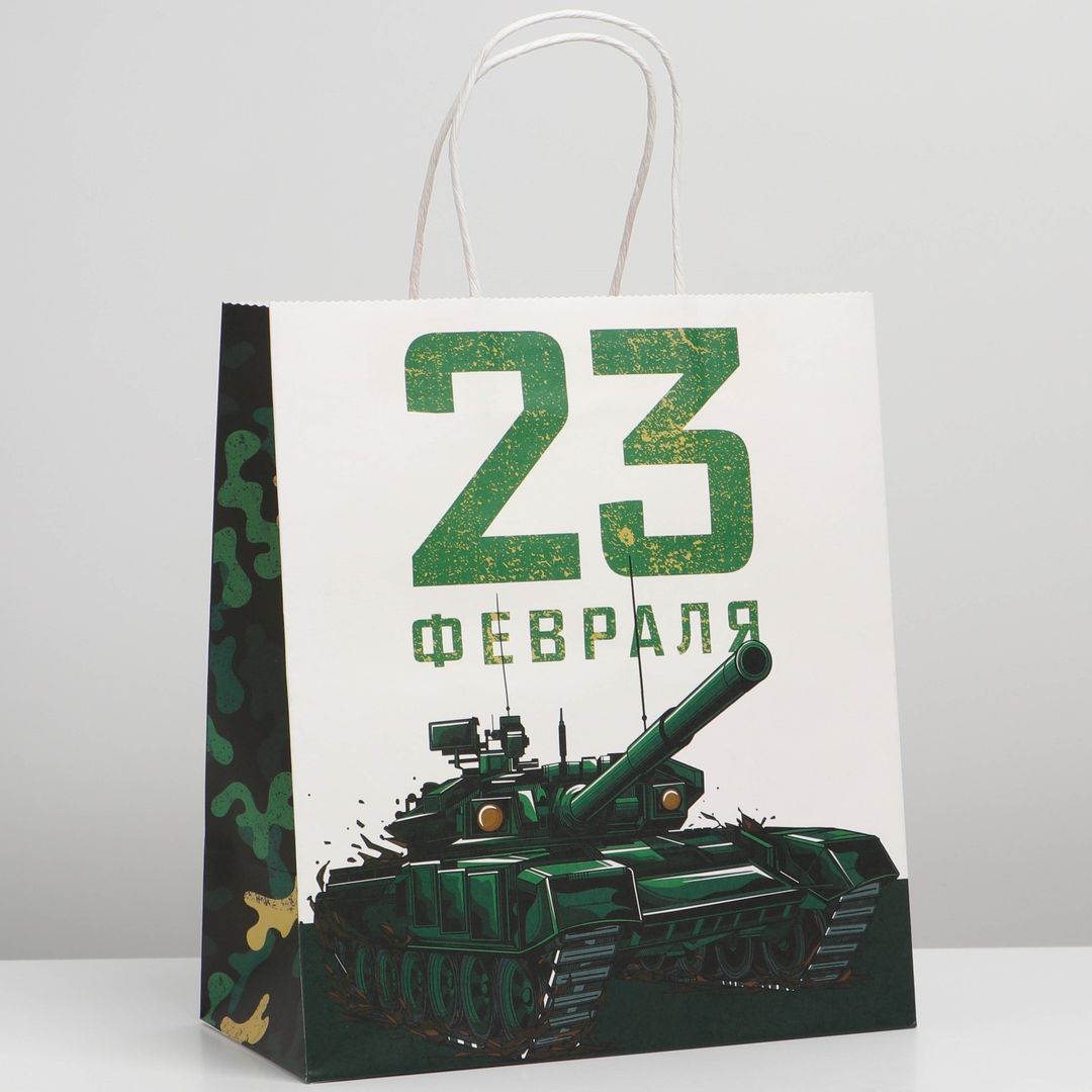 Подарочный пакет Защитник (22 х 25 х 12 см)