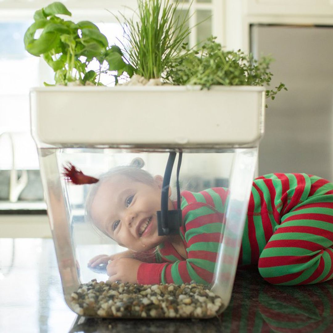 Акваферма AquaFarm