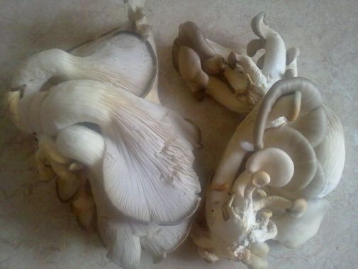  Фото покупателя Маргарита