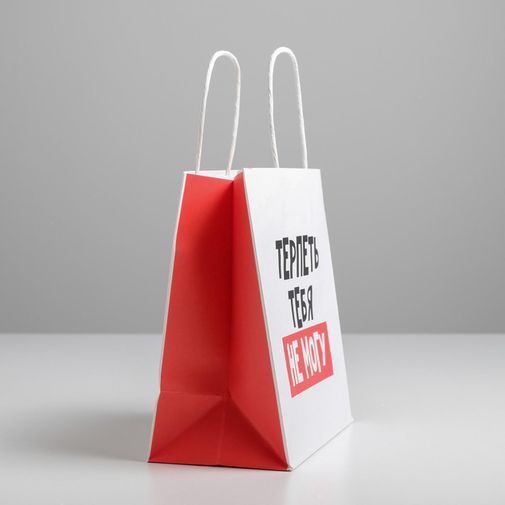 Подарочный пакет Терпеть тебя не могу (22 х 22 х 11 см)