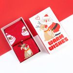 Набор женских носков Warm Wishes (2 пары)
