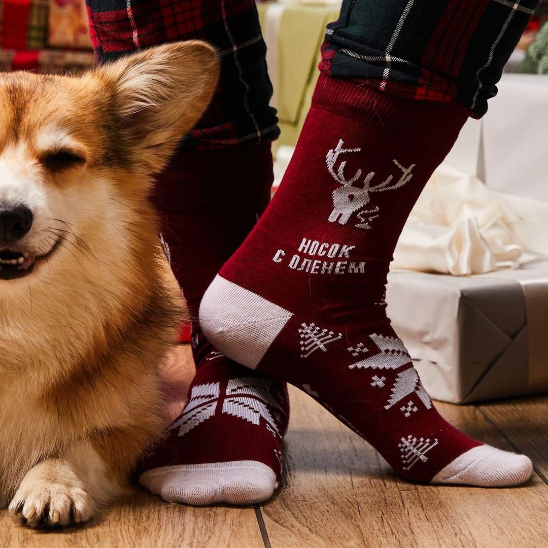 Носки с оленем, дополняющая мета-версия Носки с оленем, дополняющая мета-версия