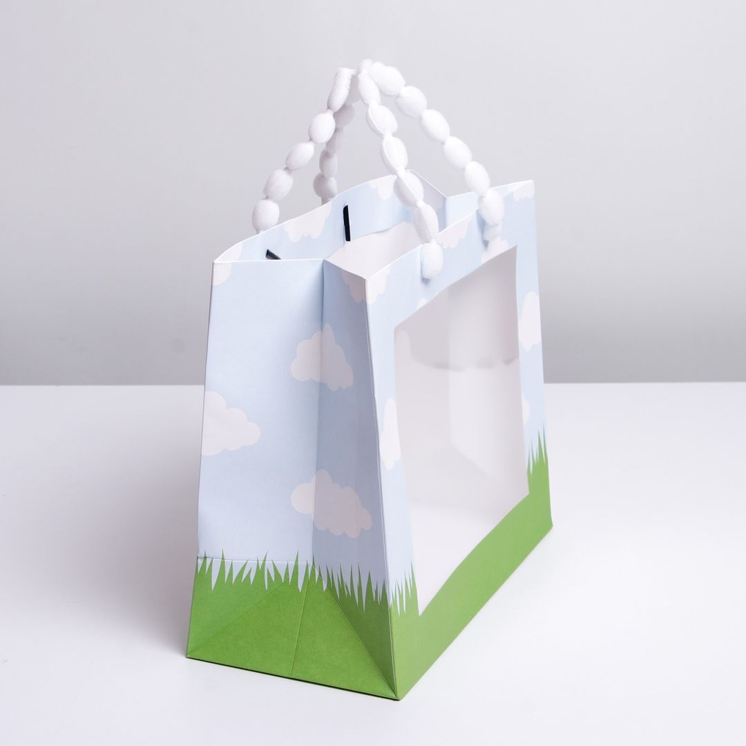 Подарочный пакет с пластиковым окном Friends (24 х 20 х 11 см) Подарочный пакет с пластиковым окном Friends (24 х 20 х 11 см)