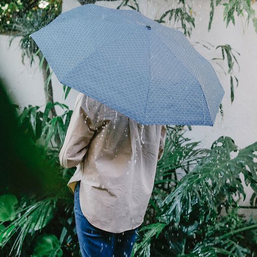 Зонт Fish (Голубой) Зонт Fish (Голубой)