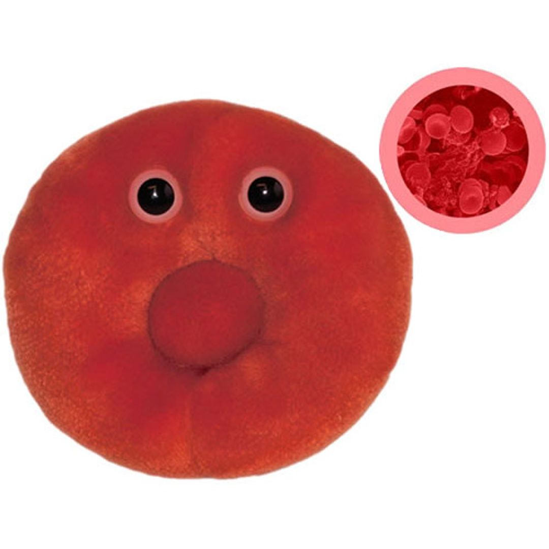 Игрушка Микроб Эритроцит Игрушка Микроб Эритроцит