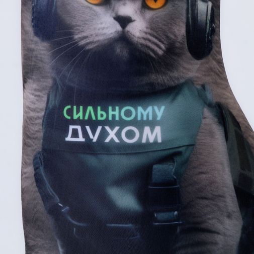 Подушка антистресс Кот сильный духом Подушка антистресс Кот сильный духом