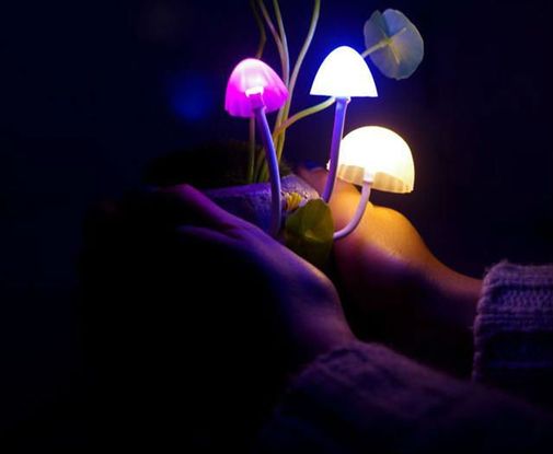 Ночник Волшебные грибы Использование