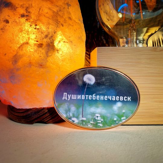 Магнит Душевный Душивтебенечаевск