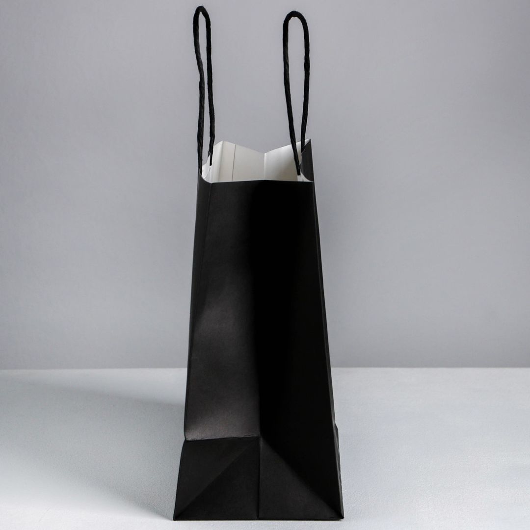 Подарочный пакет Всем плевать на твой др (22 х 22 х 11 см)