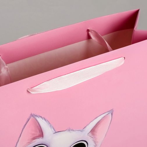 Подарочный пакет С 8 марта Котенок (26 х 30 х 9 см) Подарочный пакет С 8 марта Котенок (26 х 30 х 9 см)