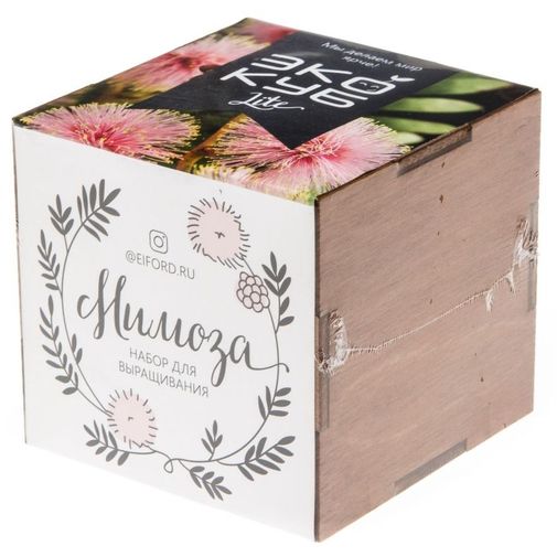 Набор для выращивания Мимоза
