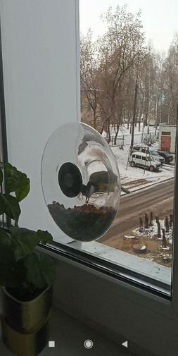  Фото покупателя Антонина