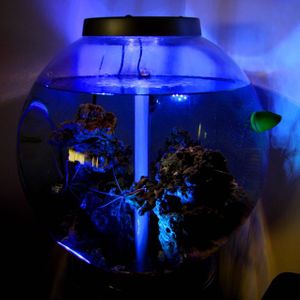 Водонепроницаемые лампы с пультами (4 шт.) Водонепроницаемые лампы с пультами (4 шт.)