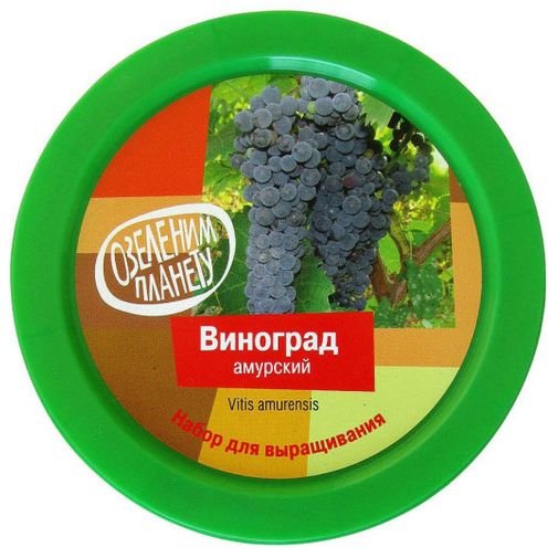 Набор для выращивания Виноград амурский