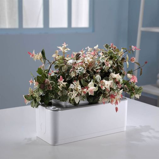 Умный сад для выращивания растений iGarden