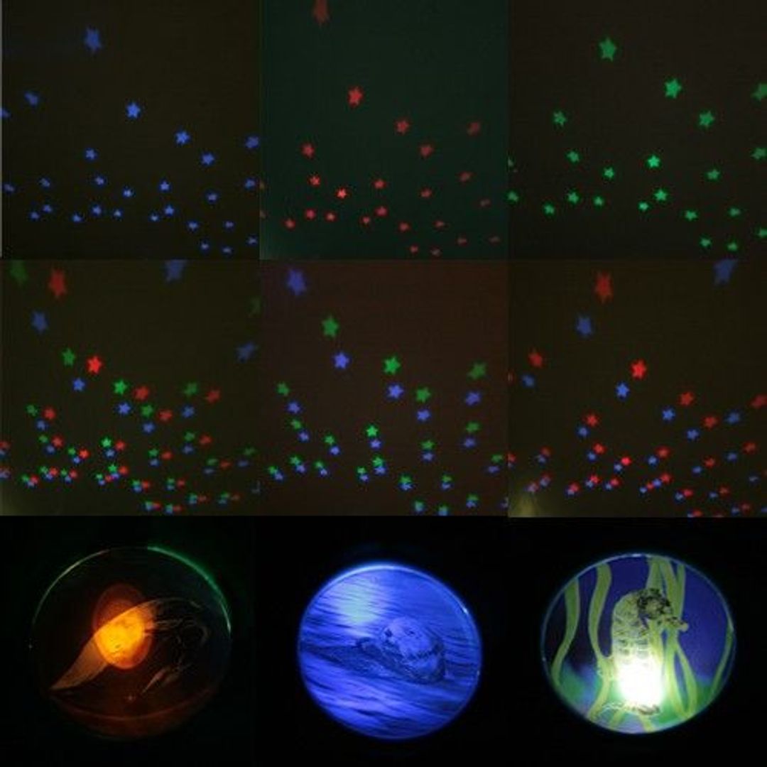 Проектор Морская черепаха