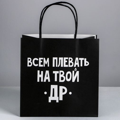 Подарочный пакет Всем плевать на твой др (22 х 22 х 11 см)