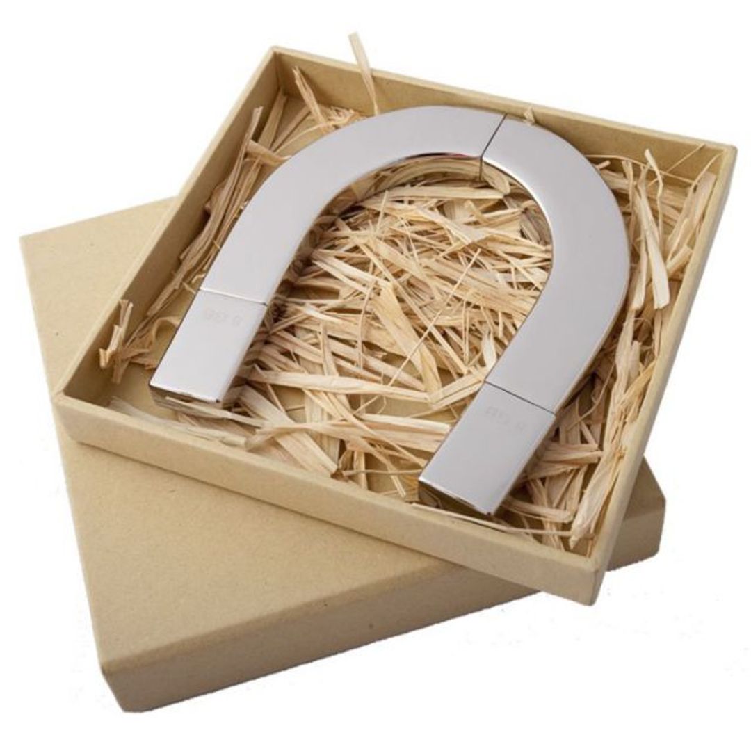 Флешка Подкова 16 Гб В упаковке