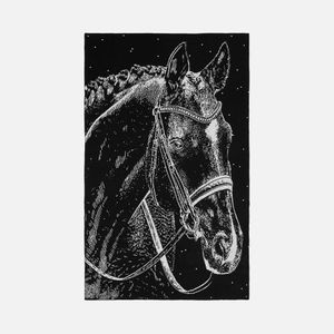 Плед Вороной