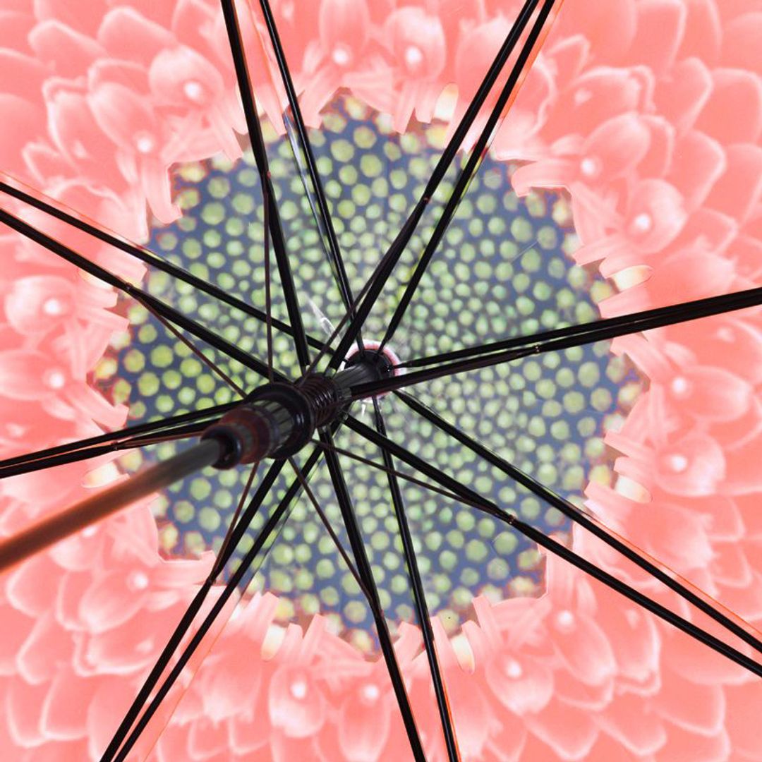 Зонт Цветок (купол) Зонт Цветок (купол)