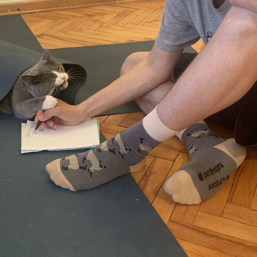 Носки Произошёл троллинг Носки Произошёл троллинг