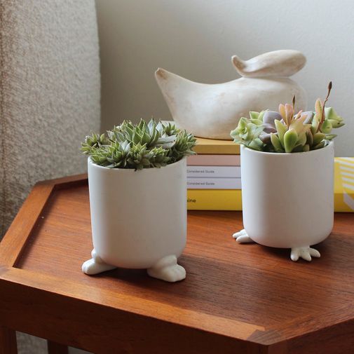 Набор горшочков Wander Pots Кочевник