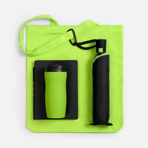 Подарочный набор Flexpen Black Walk (черный с зеленым)