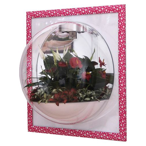 Настенный флорариум Flandriss Candy Настенный флорариум Flandriss Candy