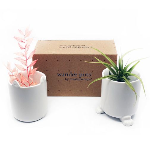 Набор горшочков Wander Pots Мяу