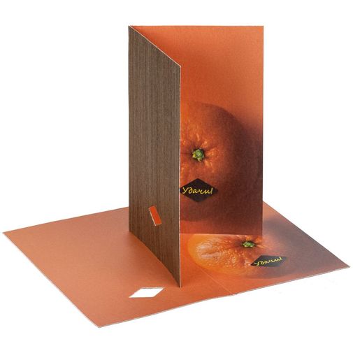 Набор Tangerine Dream Набор Tangerine Dream