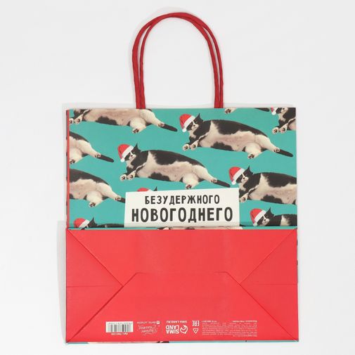 Подарочный пакет Веселье (22 х 22 х 11 см) Подарочный пакет Веселье (22 х 22 х 11 см)