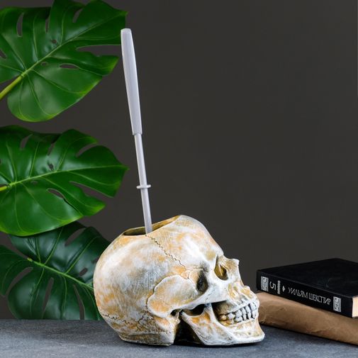 Ёршик для туалета Череп